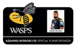 Wasps Logo